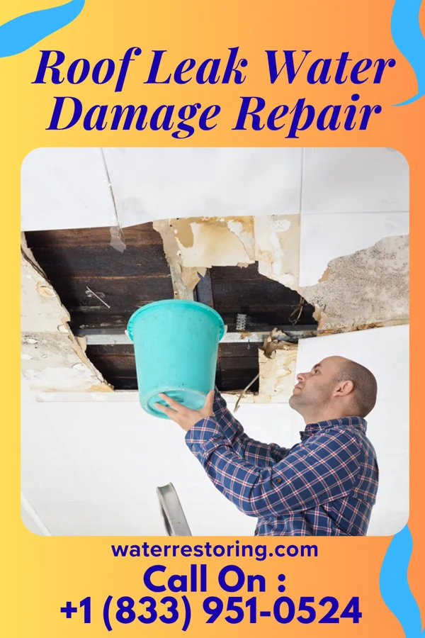 Roof Leak Water Damage Repair in New Salem, ND
